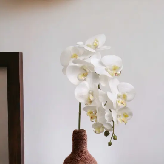 12-Pack: Real Touch White Phalaenopsis Orchid Stem, Floral Home by Artificial Flowers {4}