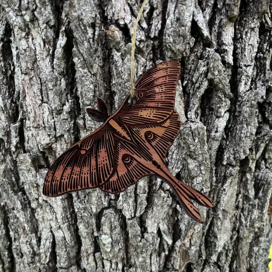 Luna Moth - Cedar Ornament {3}