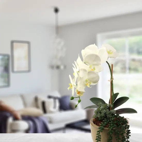 12-Pack: Real Touch White Phalaenopsis Orchid Stem, Floral Home by Artificial Flowers {2}