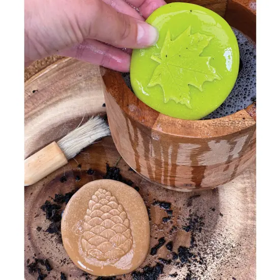 Yellow Door Let's Investigate - Nature - Set of 8 Stones {6}