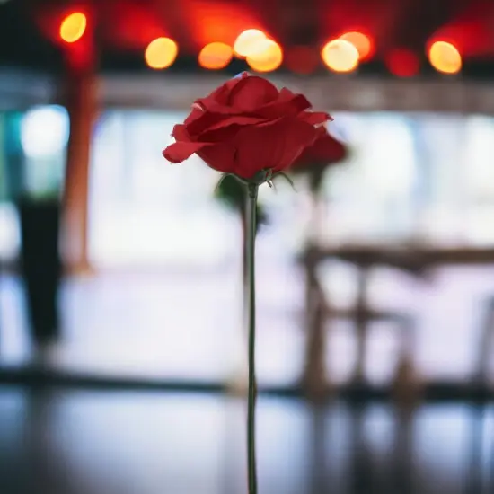 50-Pack: Burgundy Rose Picks, 8" Stems, 3" Wide, Floral Home by Artificial Flowers {4}