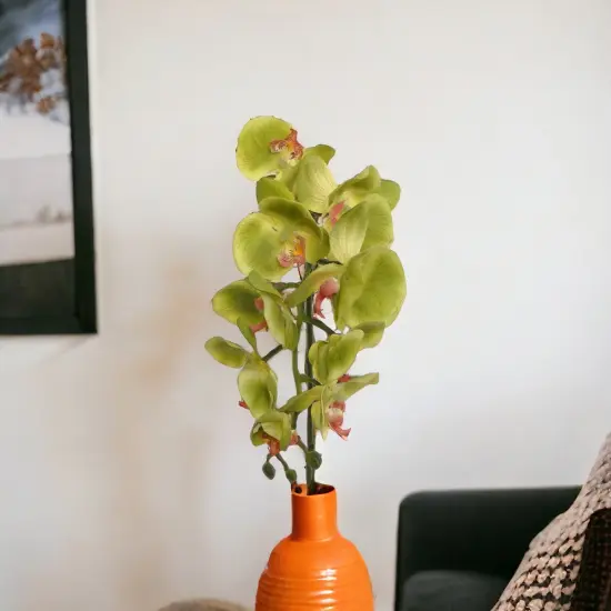 12-Pack: Real Touch Green Phalaenopsis Orchid Stem, Floral Home by Artificial Flowers {4}