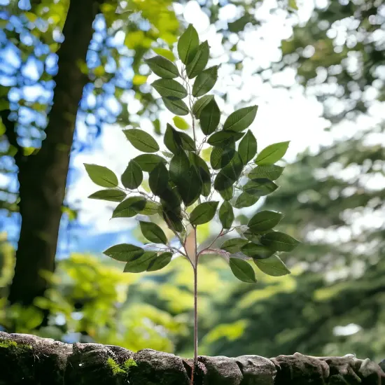 48-Pack: Sakaki Spray with Realistic Silk Leaves by Floral Home&reg; {4}