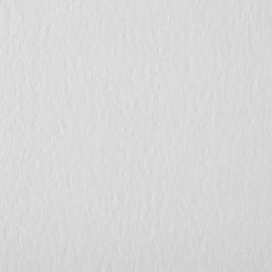 New York Central Watercolor Paper Sheets Pack of 10 - Professional Grade, Acid-Free, Archival, Superior Surface Stability for Artists, Students - For Wet and Dry Media {6}