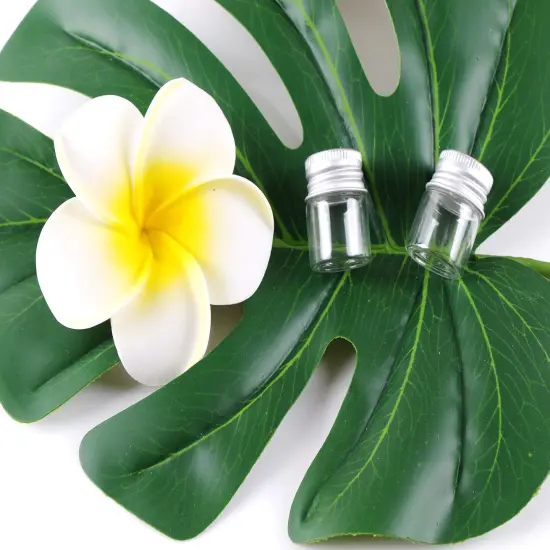 24 Pieces Mini Glass Bottles with Screw Caps 5ml Aluminum Top Metal Lids 5 Milliliter Tiny Vials Small Jars DIY Storage Art Craft Decor {3}