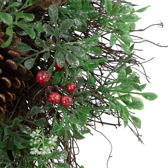 Northlight 24" Glittered Pine Cone and Red Berry Artificial Christmas Wreath - Unlit Green {3}