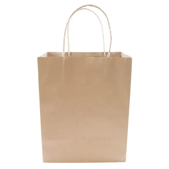 COSCO Gift and Shopping Bags, Kraft with Twisted Paper Handles, 10.25" x 8" x 5", 50 count {2}