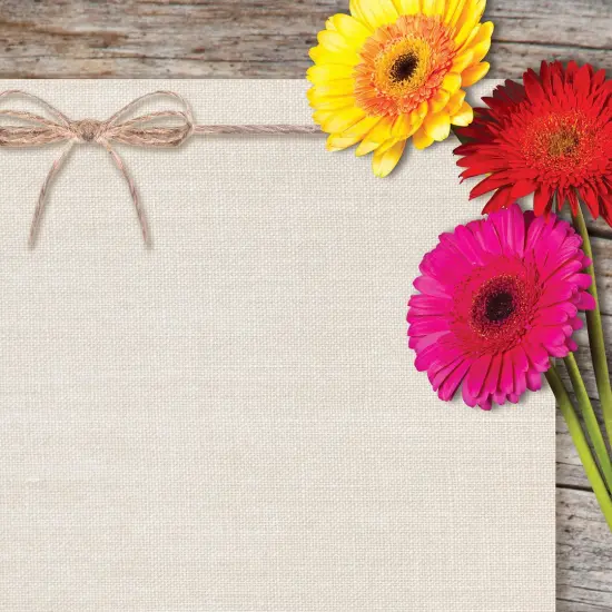 Great Papers! Three Gerber Daisies Stationery Letterhead, Invitations and Announcements, Printer Friendly, 8.5"x11", 80 Pack {2}