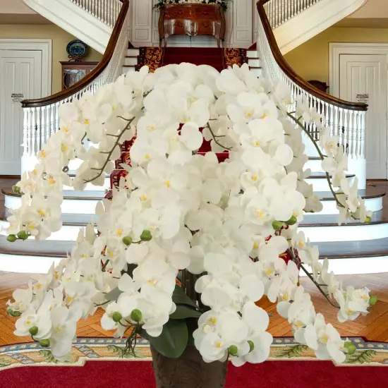12-Pack: Massive White Phalaenopsis Orchid Stem, Floral Home by Artificial Flowers {2}