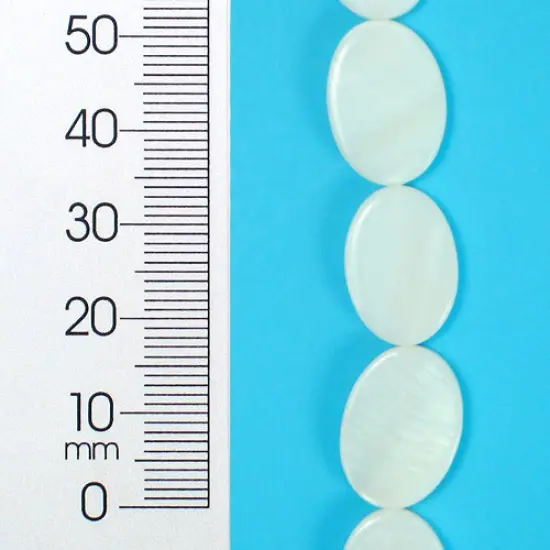 6 Packs of Tinted Shell 10x17mm Oval Natural 2x8" {1}