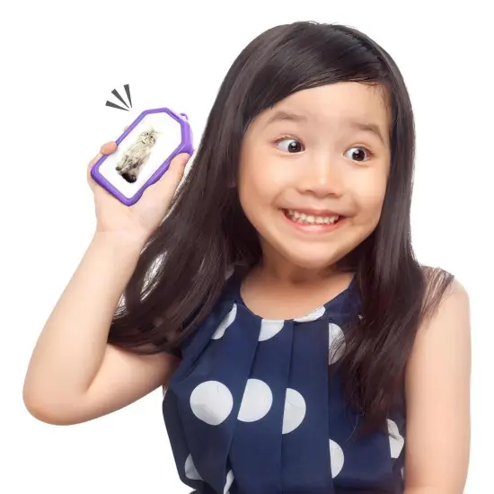 Magnetic Rainbow Recorders, Set of 4 {2}