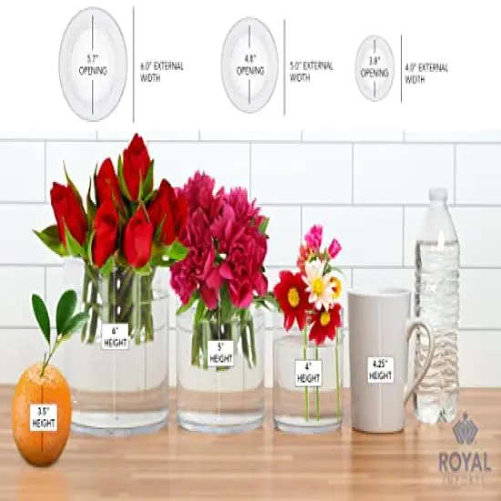 Flower Acrylic Vase Decorative Centerpiece for Home or Wedding by Royal Imports - Break Resistant - 4" Cylinder by 4" Tall {4}