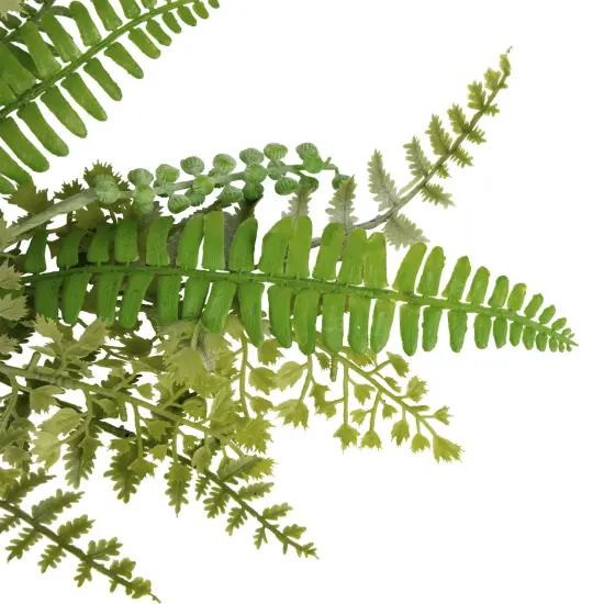 Northlight Fern and Succulents Artificial Spring Teardrop Swag - 28" Green {5}