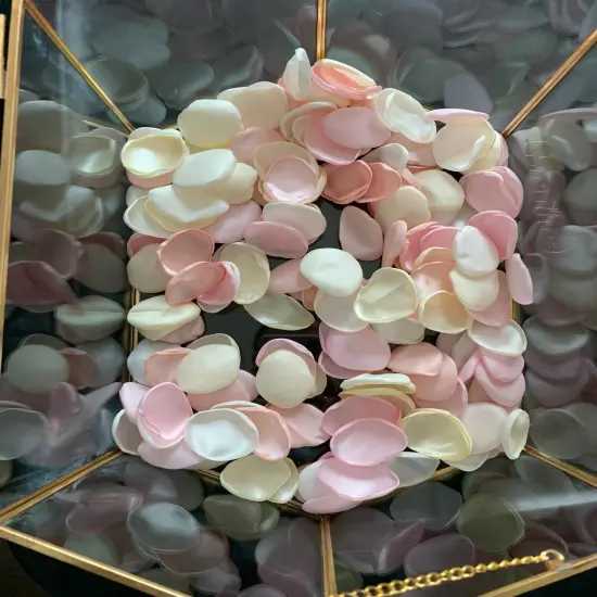 300PCS Silk Rose Petals Nude Pink Wedding Supplies Flower Girl Basket Table Aisle Runner Party Dinner Bridal Shower Decoration {2}