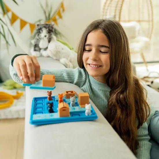 Cats & Boxes Puzzle Game {2}