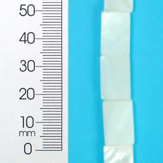 6 Packs of Tinted Shell 10x15mm Rect Natural 2x8" {1}