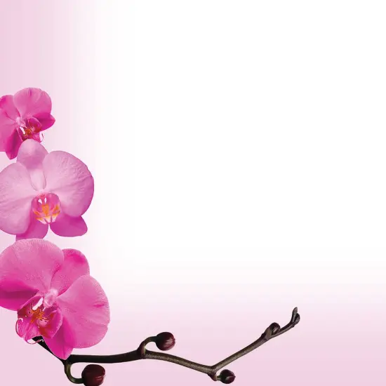 Great Papers! Pink Orchids Stationery Letterhead, Invitations and Announcements, Printer Friendly, 8.5"x11", 80 Pack {2}