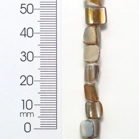6 Packs of Tinted Shell Nugget Natural 2x8" Strand {1}