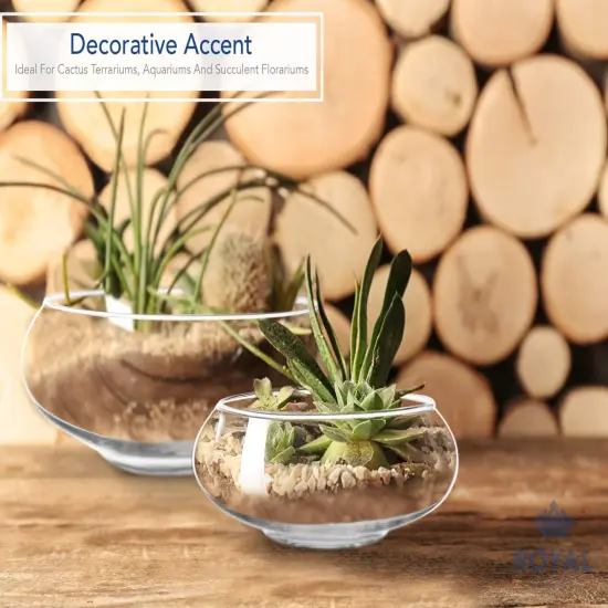 2 Pieces Flower Glass Vase, Bowl Terrarium Succulent Planter, Air Plant Hydroponic Display, Floating Candles Decorative Centerpiece Floral Container for Home or Wedding , Clear {1}