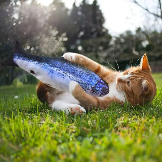 Kitcheniva Toy Fish Dancing Realistic Interactive Cat Kicker Pet Gift {6}