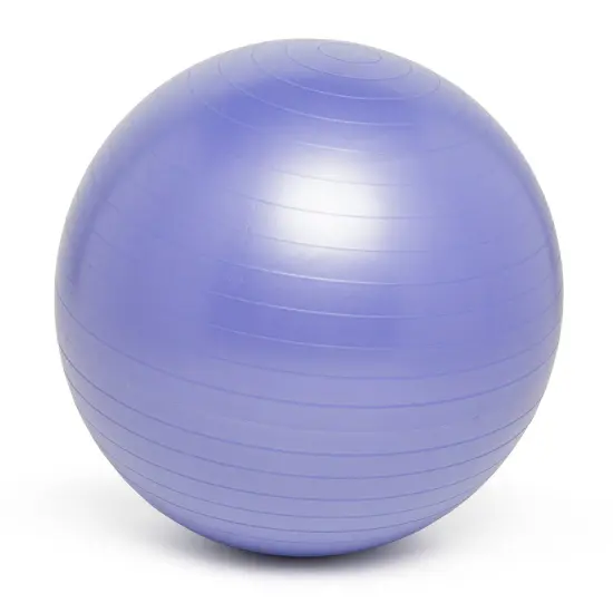 Balance Ball, 65cm, Purple {1}