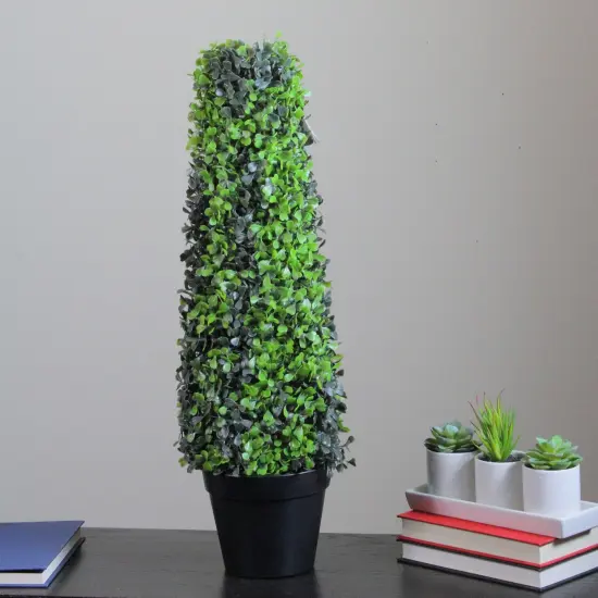 Northlight 25" Green and Black Potted Two-Tone Boxwood Cone Artificial Topiary Tree {4}