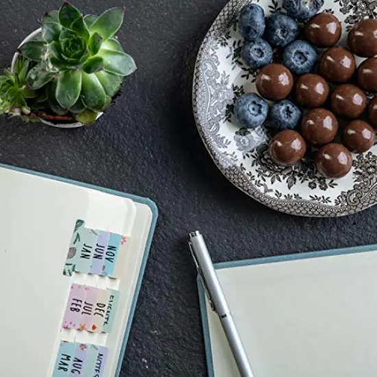 Laminated Planner Monthly Tabs, 24 Peel and Stick Tabs for Notebooks (12 Month Tabs and 12 Blank Tabs), Calendar Monthly Tab Stickers/Dividers (Assorted), Medium {4}