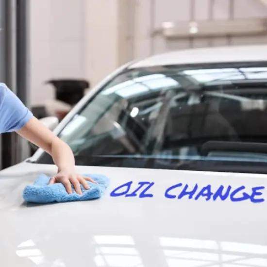 7 Pastel Posca Paint Markers, 5M Medium Posca Markers with Reversible Tips, Acrylic Paint Pens | Posca Pens for Art Supplies, Fabric Paint, Fabric Markers, Paint Pen, Art Markers {3}