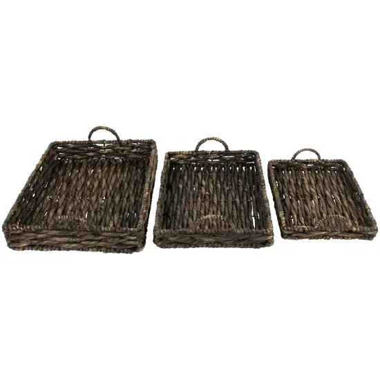 Northlight Rectangular Water Hyacinth Trays with Handles - 13.75" - Brown - Set of 3 {7}