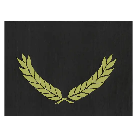 Gold Foil Stamped Black Certificate Folders, 10" x 13", Pack of 30 {1}