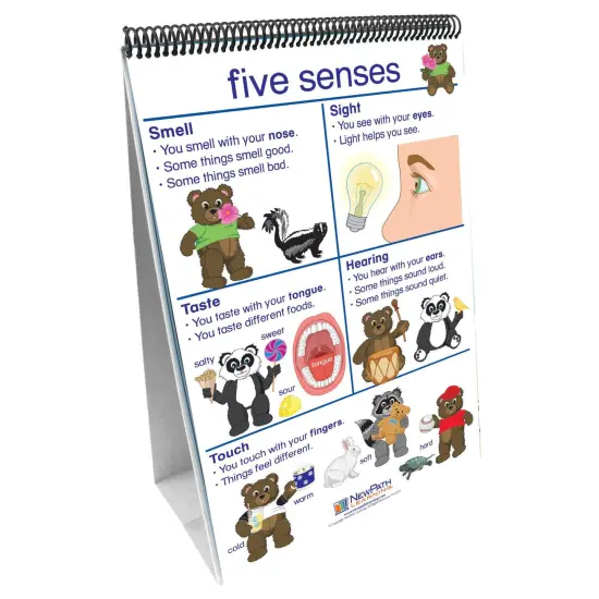 Early Childhood Science Readiness Flip Chart, All About Me {1}