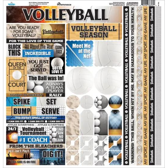 Reminisce Variety Cardstock Stickers 12"x12"-Volleyball {1}