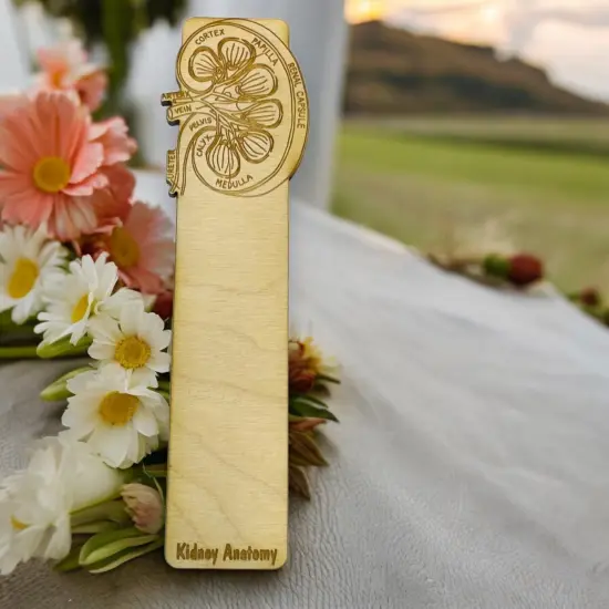 Bookmark - Kidney Anatomy - Birch wood {3}