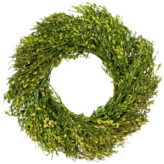 Northlight Green Foliage Artificial Spring Wreath - 20' - Unlit {1}