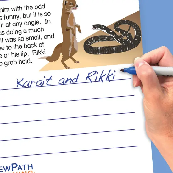 Reading Comprehension Flip Chart Set, Grades 4-8 {2}