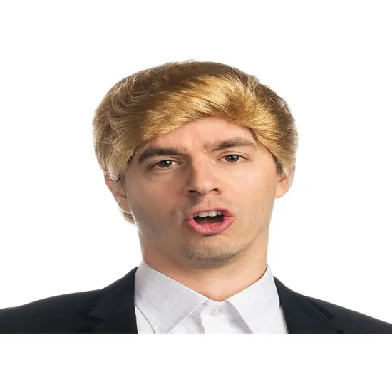 Billionaire Tycoon President Hair Wig Adult's Costume Accessory {1}