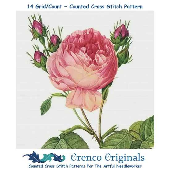 Orenco Originals Redoute Cabbage Rose Flower Counted Cross Stitch Pattern {1}