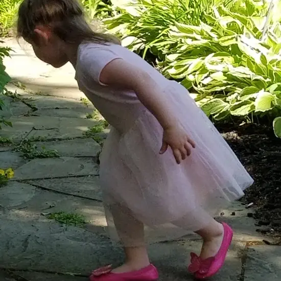 Premium Flocked Daisy Tulle Fabric Bolt of 54" X 10 Yards Yellow {5}