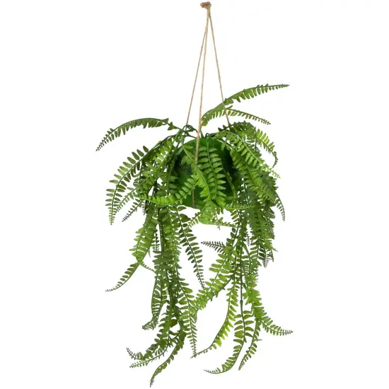 Northlight Artificial Fern Plant with Moss Ball and Hanging Jute Cord - 18" Green {1}