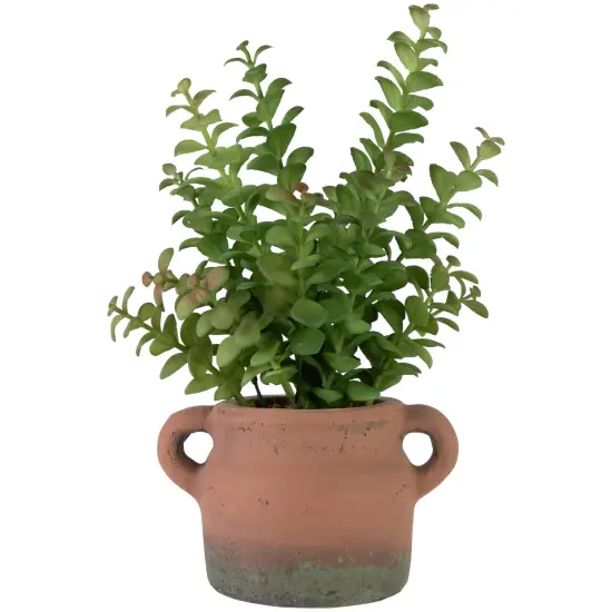 Northlight Real Touch&trade; Artificial Privet Plant in Vintage Milk Can Style Earthenware Pot - 14" Green {1}