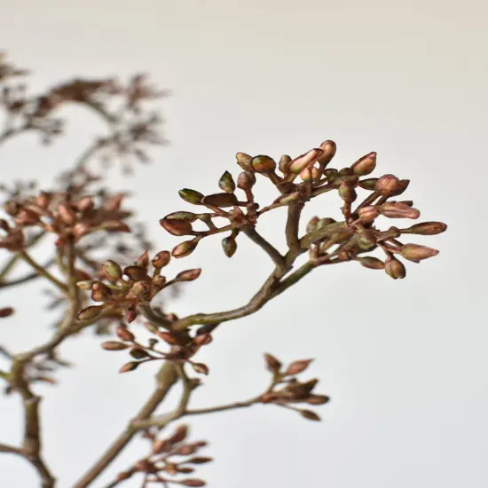 38" Faux Brown Sedum Berry Branch {5}