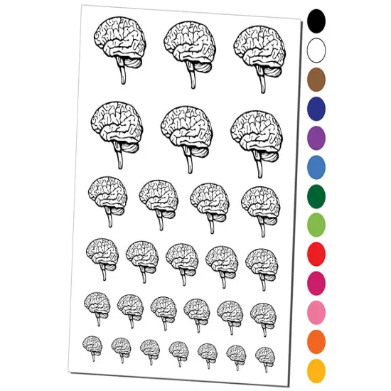 Human Brain with Cerebellum and Medulla Oblongata Temporary Tattoo Water Resistant Fake Body Art Set Collection Dark Blue {1}