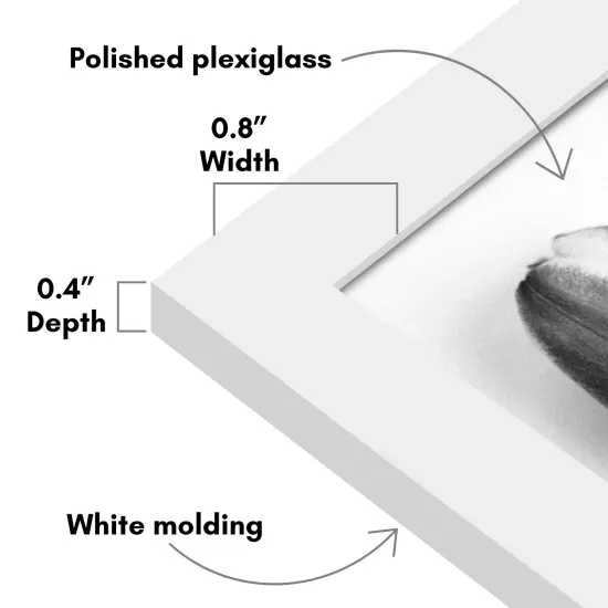 Americanflat Gallery Wall Picture Frames - Set of 12 - Picture Frame Set for Wall Collage - Plexiglass Cover - Hanging Hardware - Includes Easel {9}