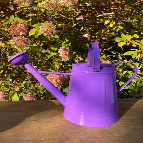 Large Watering Can - FUN COLORS Lilac {1}