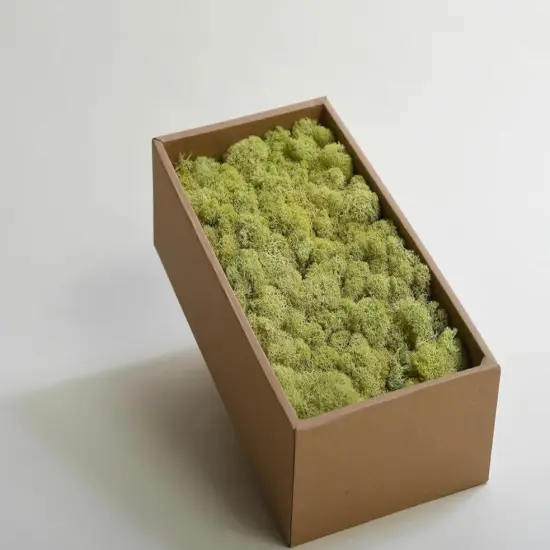 Moss Preserved Lime Green for Fairy Gardens Terrariums, Craft, DIY, Floral, 500g {2}