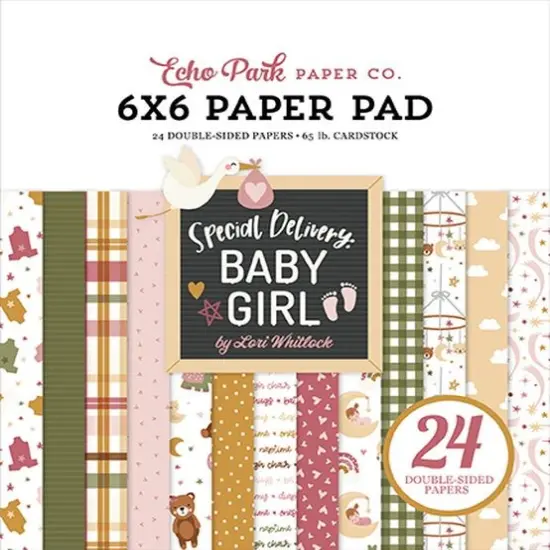 Echo Park Special Delivery Baby Girl 6x6 Pad {1}