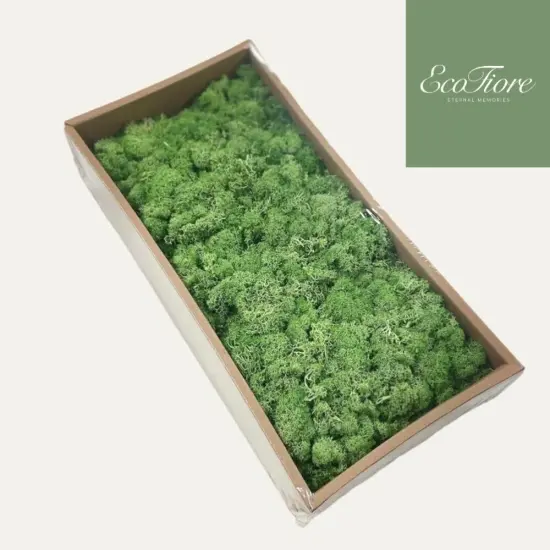 Moss Preserved Dark Green for Fairy Gardens Terrariums, Craft, DIY, Floral, 500g {1}
