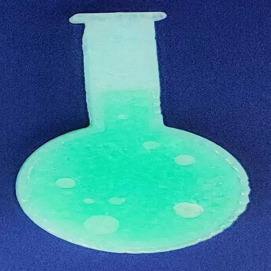 Florence Flask Silicone Freshie MOld {3}