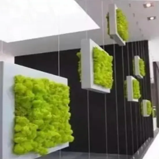 Moss Preserved Dark Green for Fairy Gardens Terrariums, Craft, DIY, Floral, 500g {5}