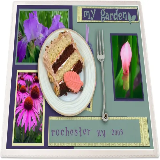 Placemat Plastic Covers - 4 Pack {3}